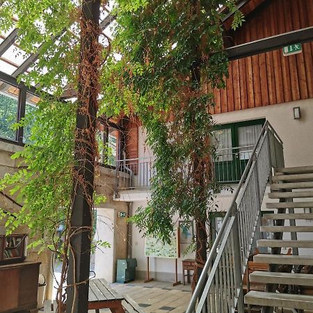 Landhotel Schaferhof Langenstein Exterior photo